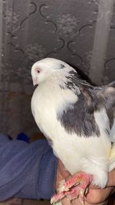 5C10A79F-BBE7-415F-B2ED-F78EBC707408