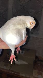 2745D578-FEA5-4255-A826-7E2C4619EB99