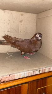 13F403E2-8D8D-4AE7-A15E-250D022C52FD