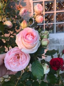 received_1183357225456481