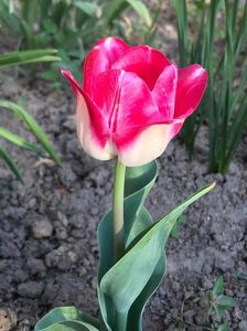 received_273508094226422