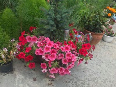 received_903362143761959