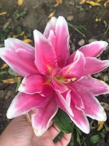 received_1402076310127025