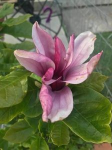 received_766441770671212