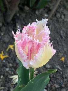 received_459326408829119