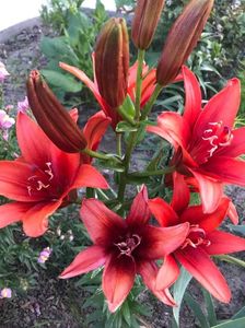 received_438955897204048