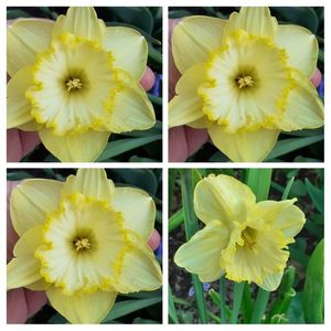 20210405_172638-COLLAGE