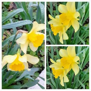 20210405_172540-COLLAGE