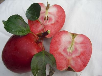 RED LOVE