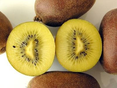 kiwi soreli