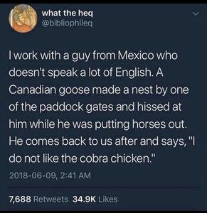 FA8C79C3-E933-4E07-9F98-664070BDE498