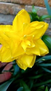 Eastertide