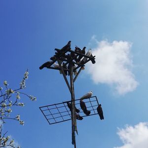 ; Primavara si Zburătorii de Târgoviște
