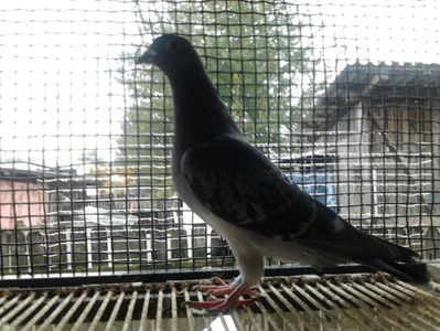 Fotografie3910