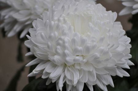 _DSC0042