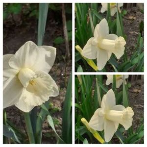 20210427_130646-COLLAGE