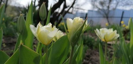 received_483837496146877