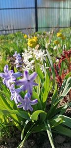 received_132085132214021