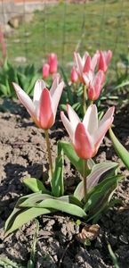 received_478347866817540