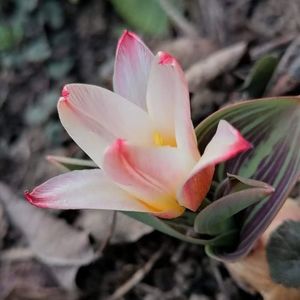 received_909691339871666