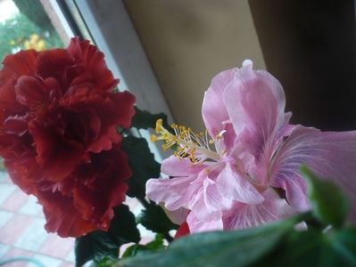 P1470643