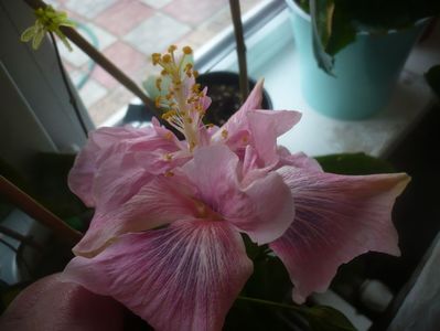 P1470645