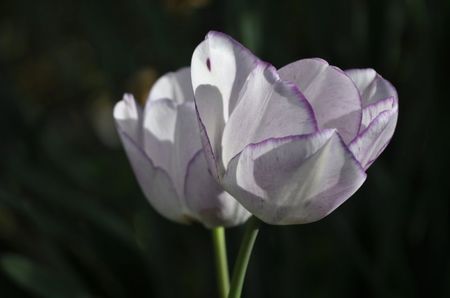 _DSC0567