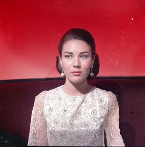 Pantoful Cenusaresei