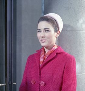 Pantoful Cenusaresei