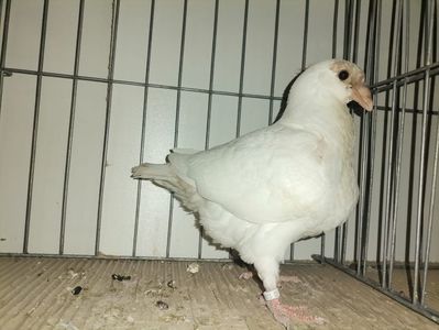 IMG-20210507-WA0005
