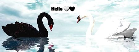 ⚜♥️❤White&Black Swans ❤♥️⚜