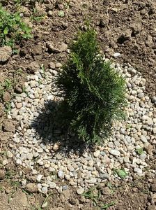 30F682D2-864F-450B-B0DC-1BA499A21DC0; Plantat acum 1 saptamana
