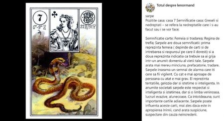 sarpe