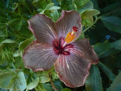P1470959