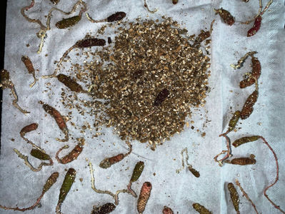 asa incepe o noua poveste  :) bafta mie!...si lor :)