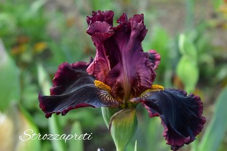 AddText_05-21-06.30.29