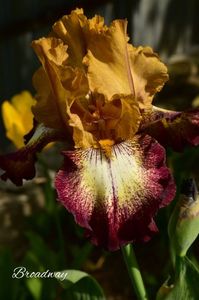 AddText_05-22-12.18.39