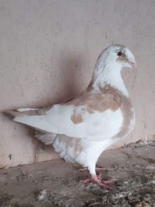 received_776778193016087