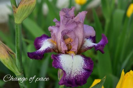 AddText_05-23-09.22.05