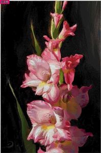 30x45,3 cm-85 anchor