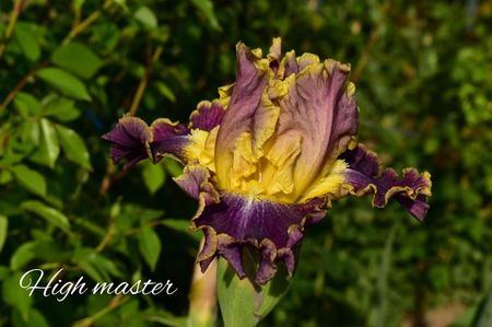 AddText_05-24-08.53.17