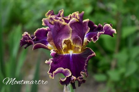 AddText_05-24-08.51.54