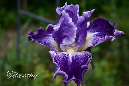 AddText_05-24-08.50.55