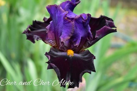 AddText_05-24-08.49.09