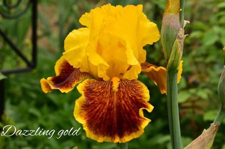 AddText_05-25-06.41.59