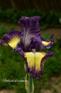 AddText_05-25-06.38.44