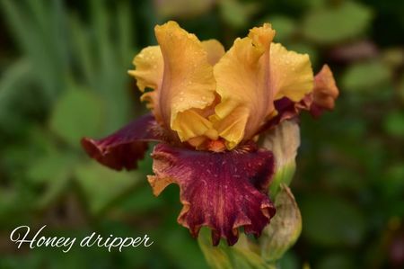 AddText_05-26-02.18.50