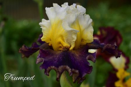 AddText_05-26-02.17.16