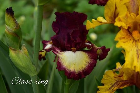 AddText_05-26-02.16.16