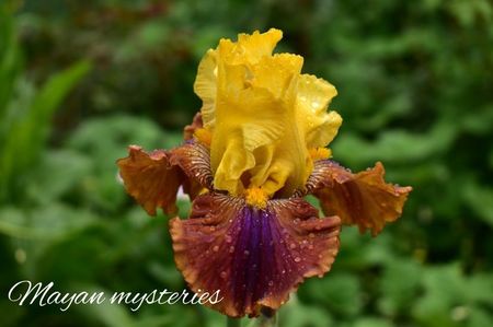 AddText_05-27-02.04.21